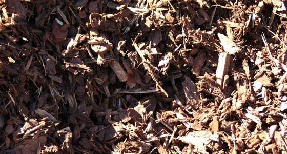 Mulch